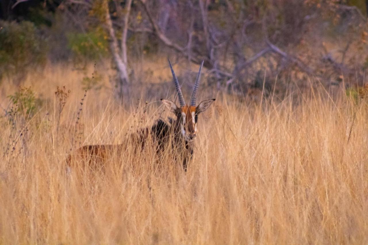 Fumani Game Lodge Modimolle Εξωτερικό φωτογραφία